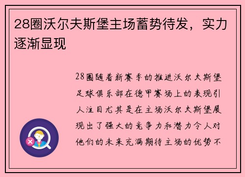 28圈沃尔夫斯堡主场蓄势待发，实力逐渐显现