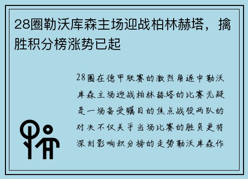 28圈勒沃库森主场迎战柏林赫塔，擒胜积分榜涨势已起